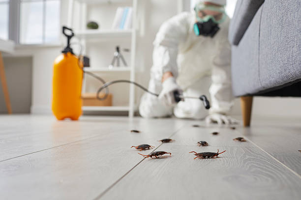 Trusted Termite Control service in Oakwood, OH - Nex Pest Control